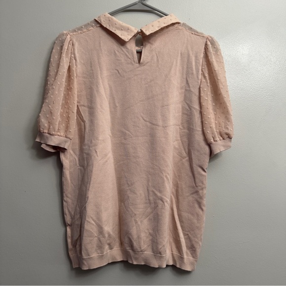 5/$20 Adrianna Papell Blush Sheer Polka Dot Blouse - Picture 6 of 7